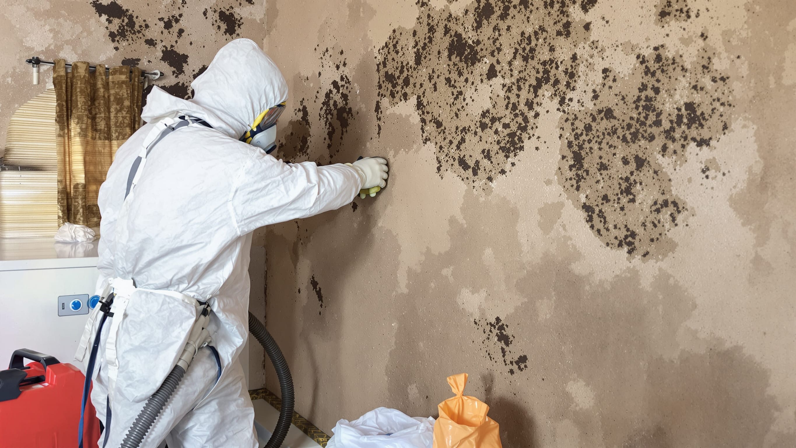 Mold Inspection & Remediation